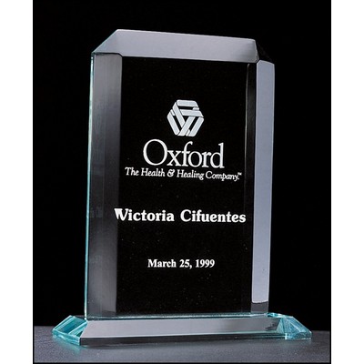 Summit Series Rectangular Acrylic Award