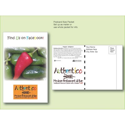 'Jalapeño' Pepper Seed Packet - Postcard Mailer Size (4" x 6.5")