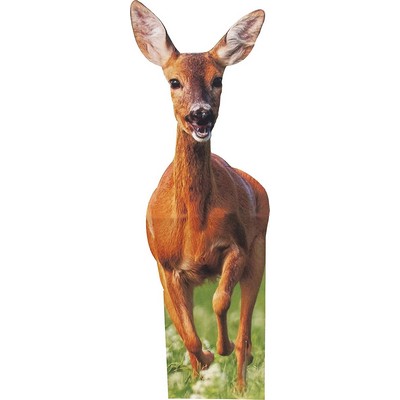 Deer Animal Cardboard Cutout Stand Up| Standee Picture Poster Photo Print