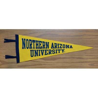 Wool Felt Pennant 9" x 24"