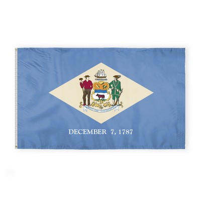 Delaware Flags 6x10 foot