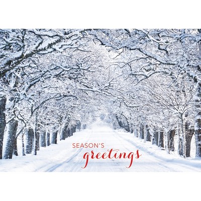 Crystal Lane Holiday Cards