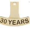 30 Year Stock Die Struck Pin