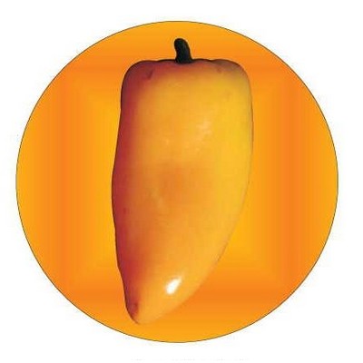 Yellow Chili Pepper Round Metal Photo Magnet (2 1/2")