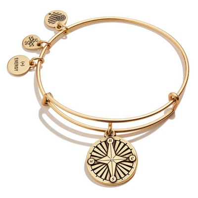 Alex and Ani® Compass Charm Refaelian Gold Bangle