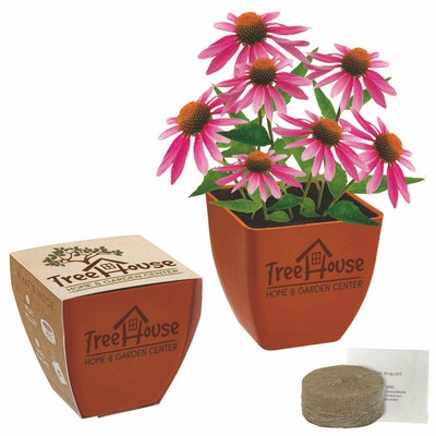 Bamboo Blossom Kit w/Seeds & Pot