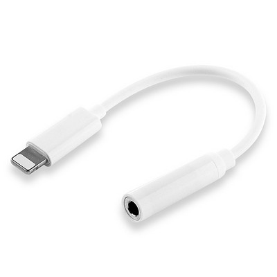 AUX to Lighting Cable Adapter