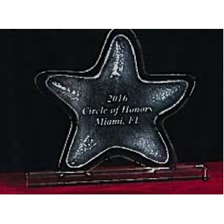 Crystal Silhouette Seastar Award (as corporate regional theme award)