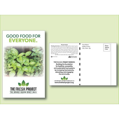 Mixed Herbs Seed Packet - Postcard Mailer Size (4" x 6.5")