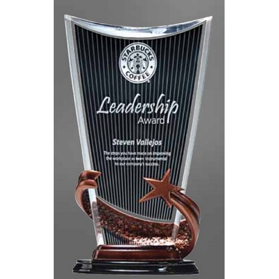 Large Bronze Brilliance Award w/Pattern On Glass