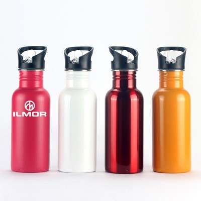 Stainless Steel Double Wall Sports Bottle w/Straw Lid