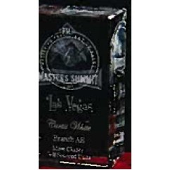 Custom 3D Image in Crystal Large Vertical Block Award (4 3/8"x6 1/4"x4 3/8")