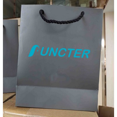 Matte Laminated Paper Bag (8 x 10 x 4)