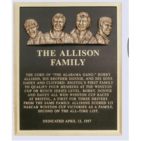 Cast Bronze Plaques (15"x18")