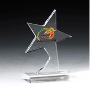 Standing Star Award - 4 Color Process - (5" x 7" x ¾")