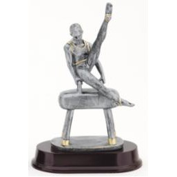 Male Gymnastic Award