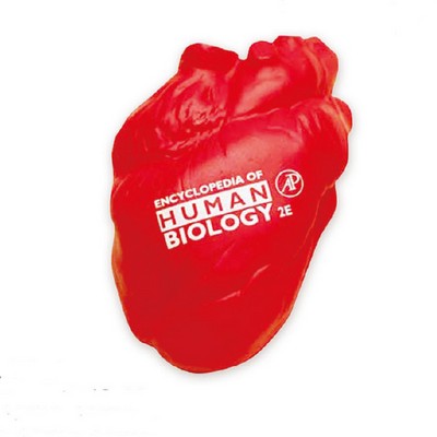 Human Heart Shaped Stress Ball