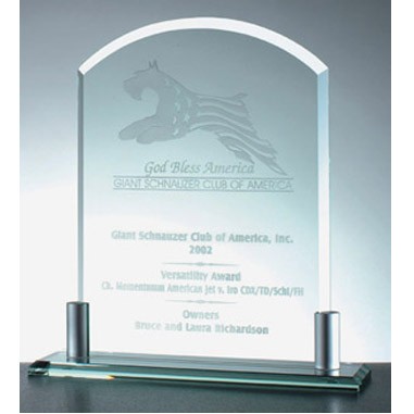 Vertical Arch Award w/ Aluminum Holder Base (B)