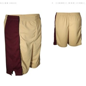 Adult Cool Mesh Short w/ Contrasting Side Panel & V-Notch (7" Inseam)