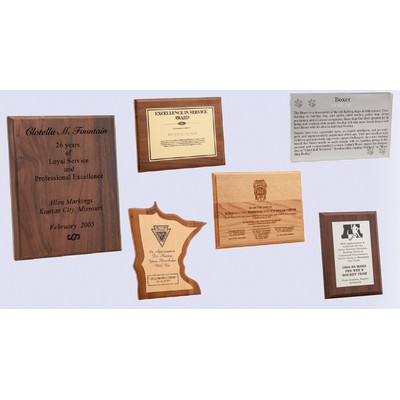 Employee Recognition Award Plaques (5"x7")