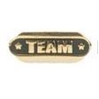 Team Stock Die Struck Pin