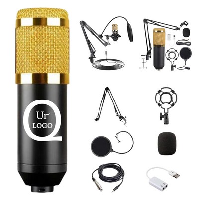 Studio Condenser Microphone Set