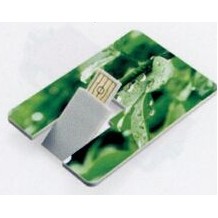 Name Card Swivel USB Drive