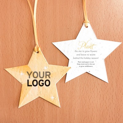 Holiday Star Ornament