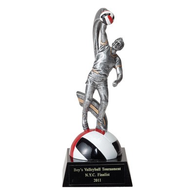 8" Volleyball Trophy w/Male Player