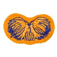 Stock Chenille Patch Inserts (1"-1.75")