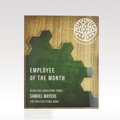 Plaque Hex Puzzle - Customizable Wood Acrylic Award