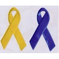 1-1/8" Awareness Ribbon Pin