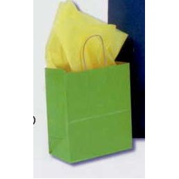 Kraft Metallic Paper Bag (G)