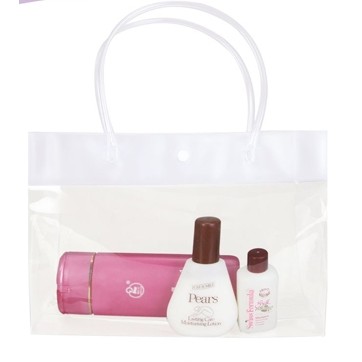 Mid Sized Transparent Tote