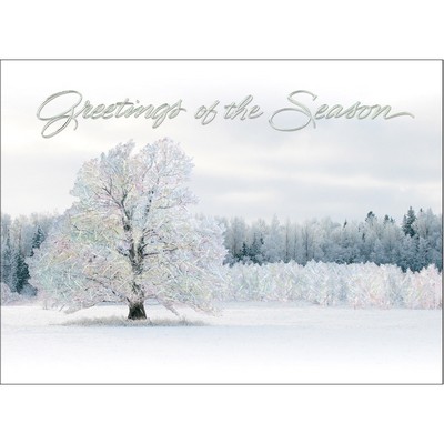 Serene Winter Greetings