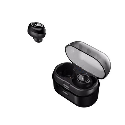 Bluetooth Wireless Earphones with Carrying Case