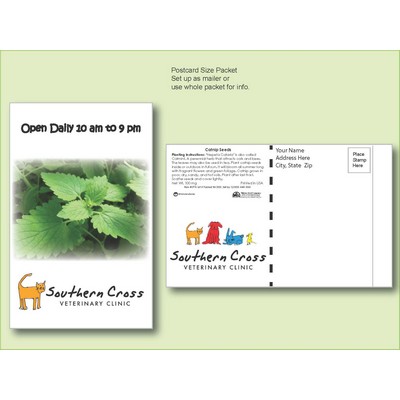 Catnip Seed Packet - Postcard Mailer Size (4" x 6.5")