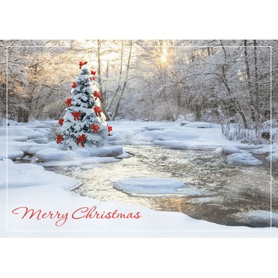 Tranquil Christmas Cards