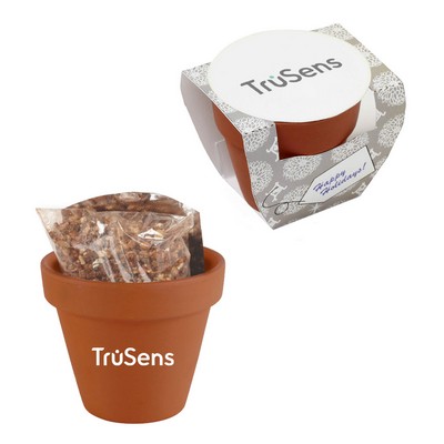 Seed Sensations Terracotta Pot w/Holiday Wrapper