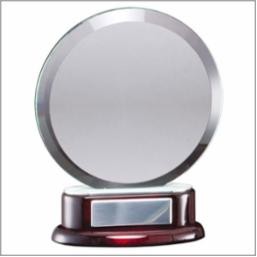 Real Estate Round Glass/Metal Award