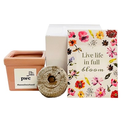 Live Life in Full Bloom Flower Seed Kit in Ceramic Pot