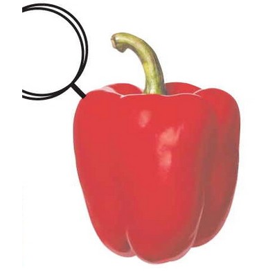 Bell Pepper Executive Key Chain w/Mirrored Back (10 Square Inch)