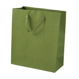 Jungle Green Mini Cub Recycled Paper Eurotote Bag