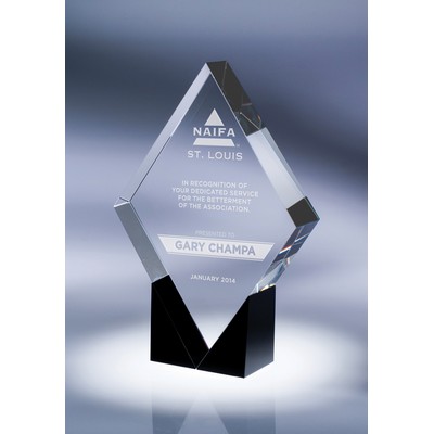 Paradigm Crystal Award