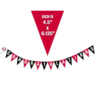 16 Pennant Banner Full Color (1 side)