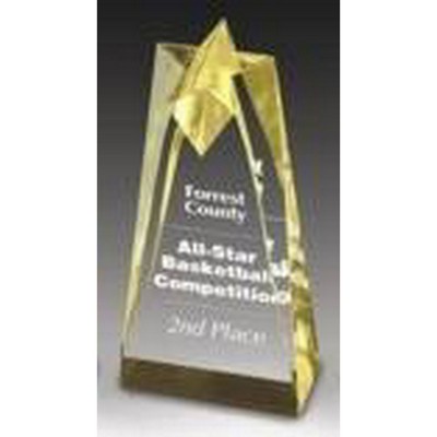 Gold Sculpted Star Acrylic Award (3 1/2" x 8")