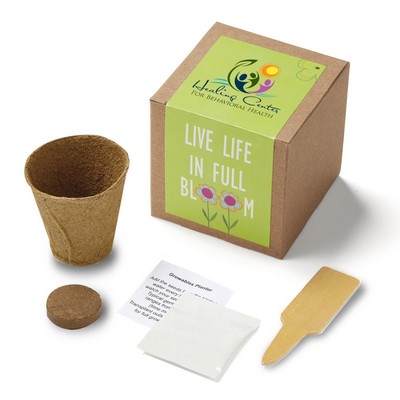 Inspirational Live Life in Full Bloom Planter in Kraft Gift Box