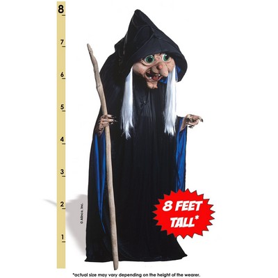 Rosey Witch Mascot Costume