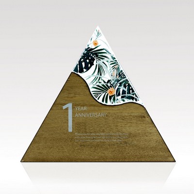 Triangle Acrylic & Wood Award