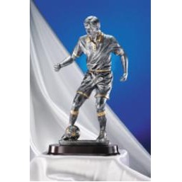 Push Soccer Award